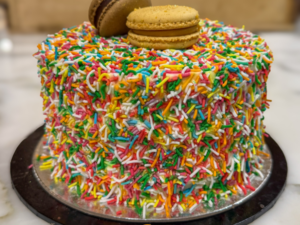 Fairy-Sprinkle-Cake